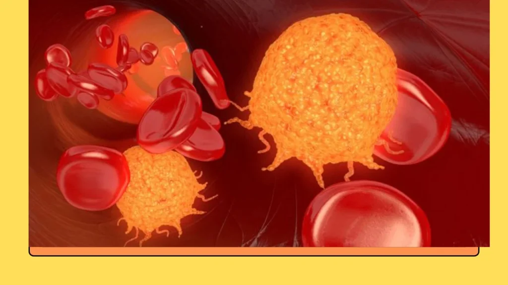 10 Essential Facts About White Blood Cells You Need to Know 3 10 Essential Facts About White Blood Cells You Need to Know