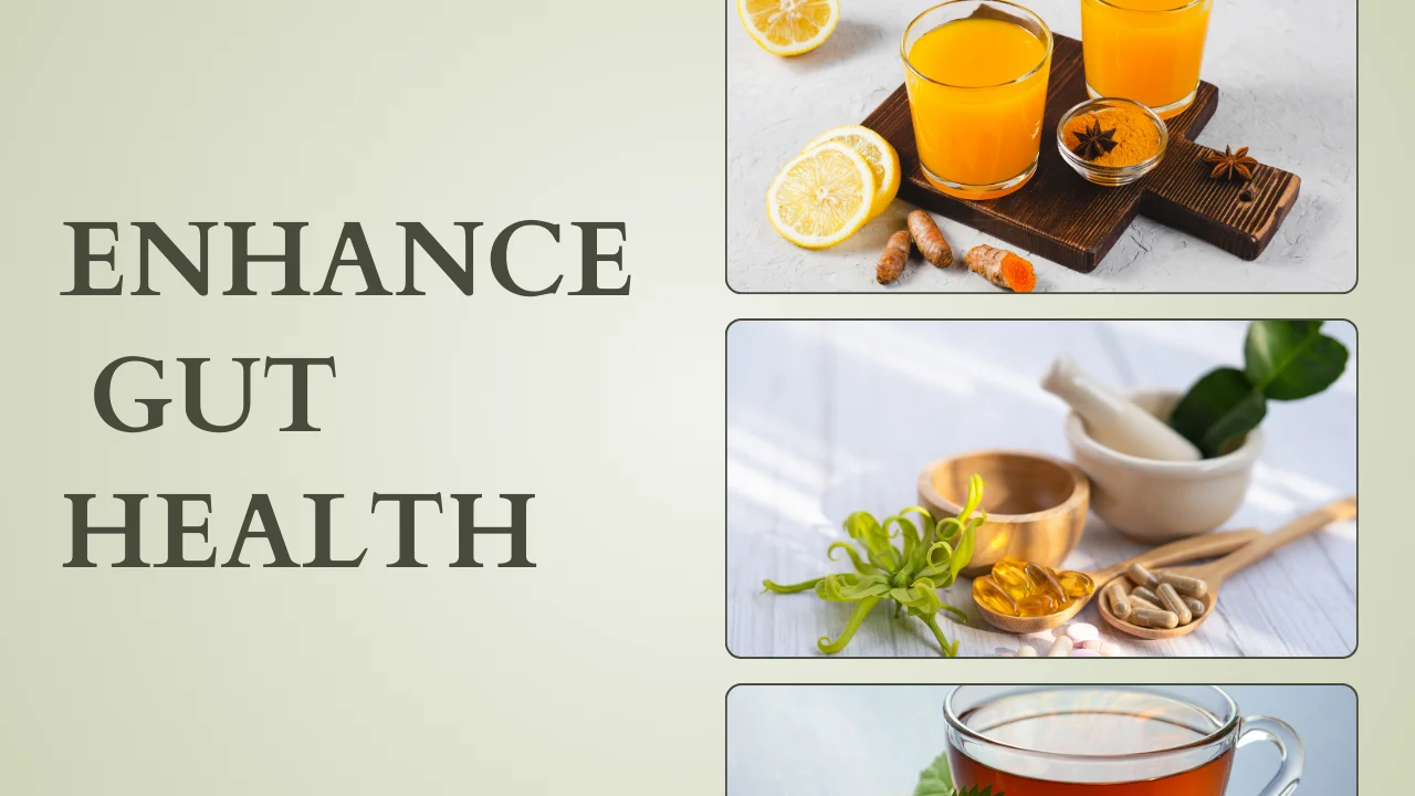 Enhancing Gut Health: Practical Steps for a Balanced Microbiome